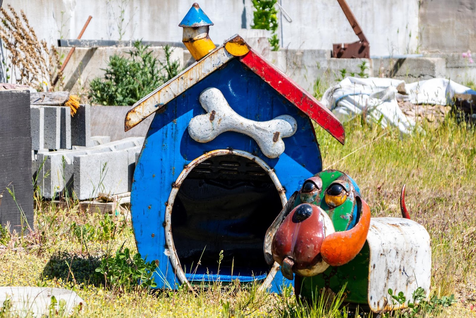 Vytvořte psí oázu: Praktický průvodce domácí stavbou pohodlného útočiště pro vašeho čtyřnohého přítele